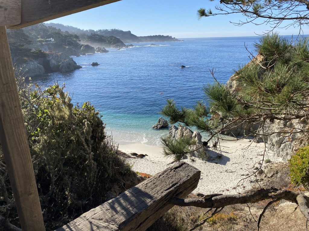Point Lobos loop trail stunning beach and wildlife