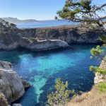 Emerald green sea at China cove, Point Lobos