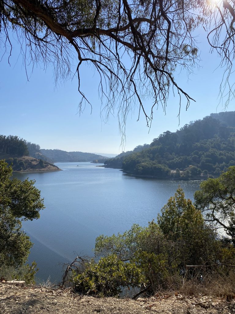 A nice outing in the East Bay around Lake Chabot