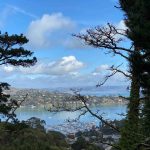 Sausalito walk - view from above