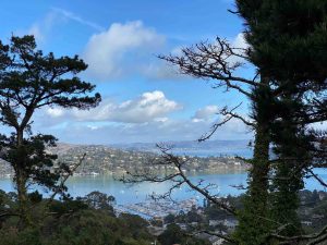 Sausalito walk - view from above