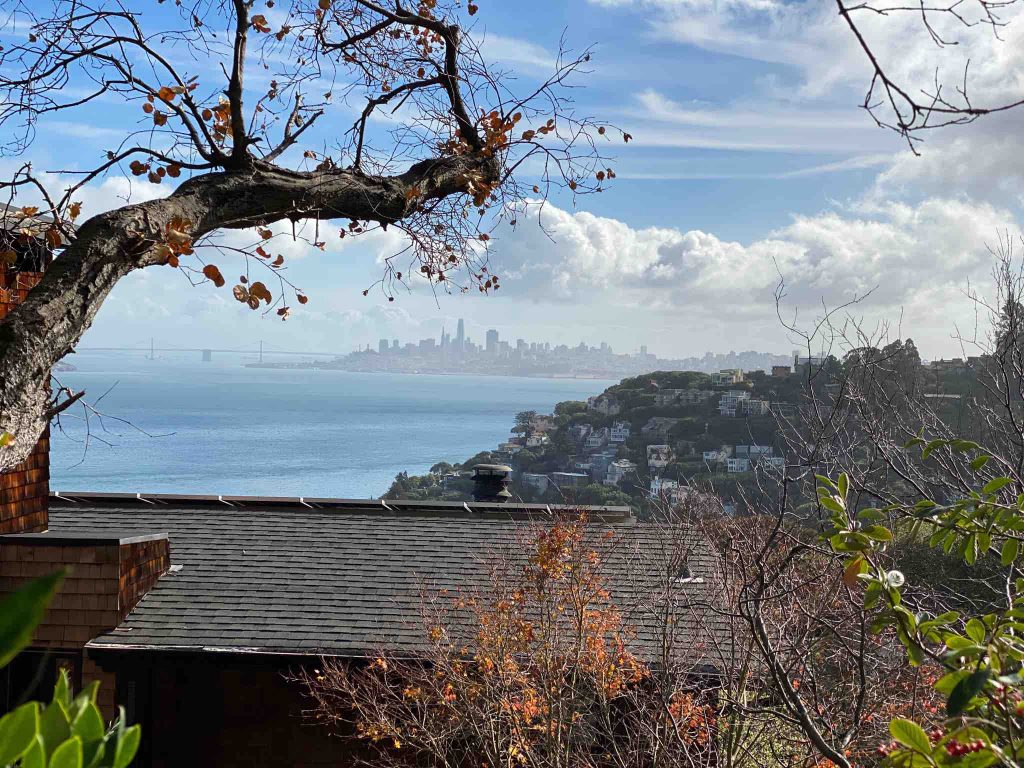 Sausalito walk - fog city view