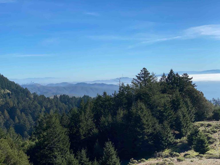 Mount Tamalpais: A breathtaking hiking in California