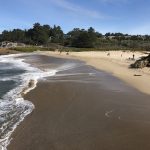 Bean Hollow state beach