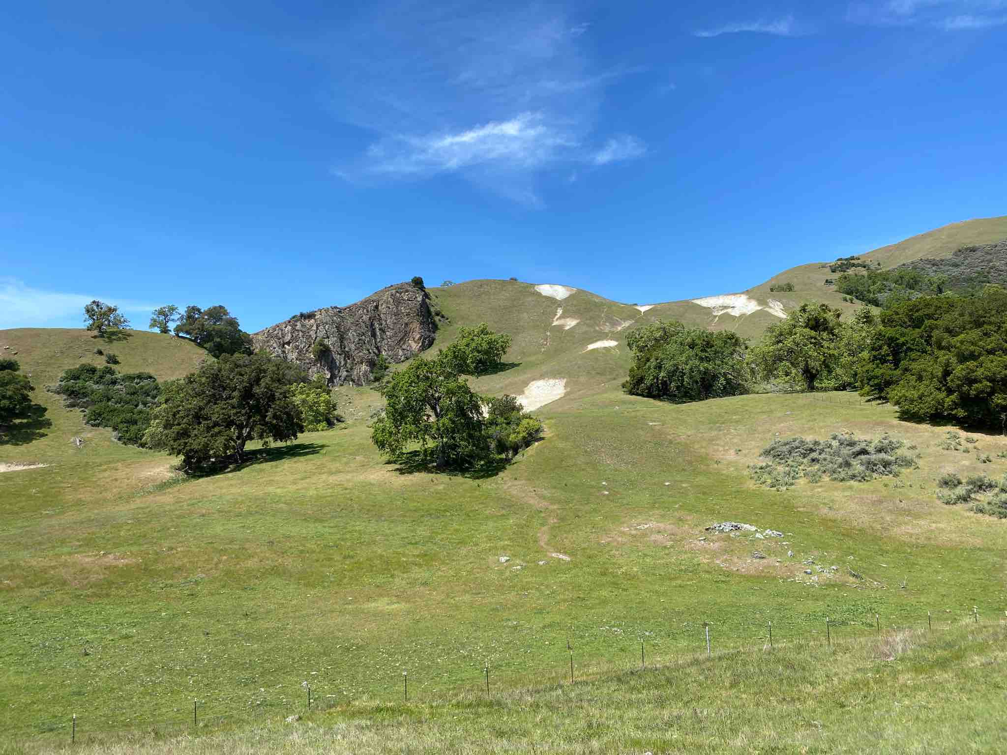 Sunol Regional Wilderness In December: Find Your Peace
