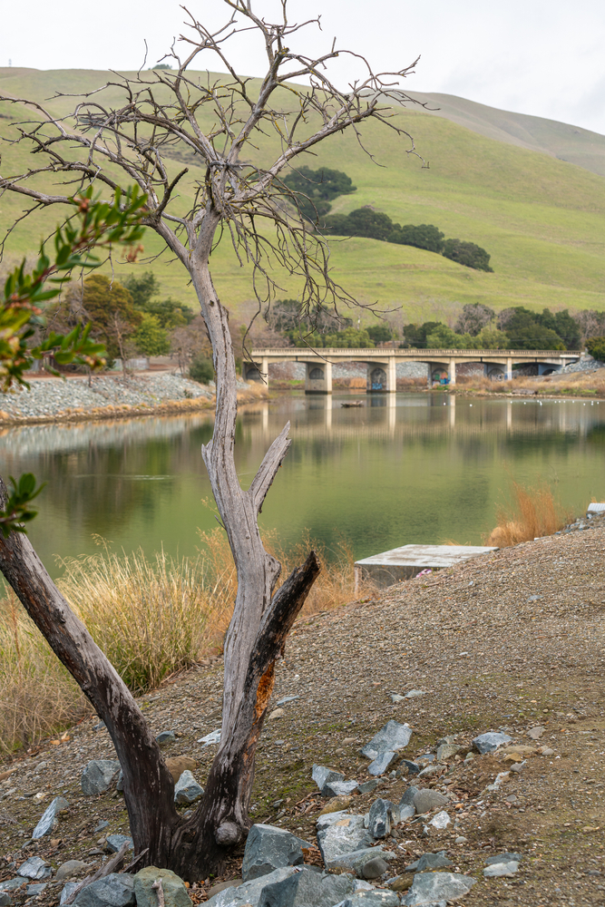 Alameda Creek Regional Trail Bridge