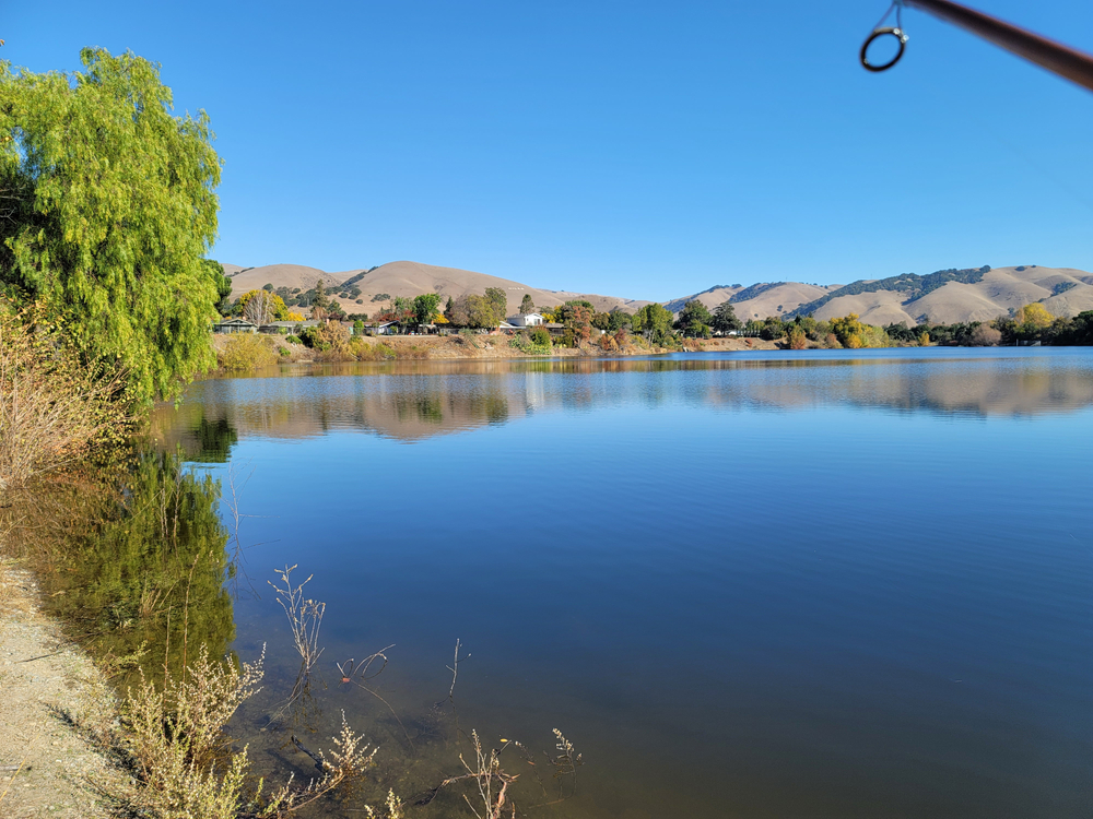Niles community park lakes, Fremont , CA