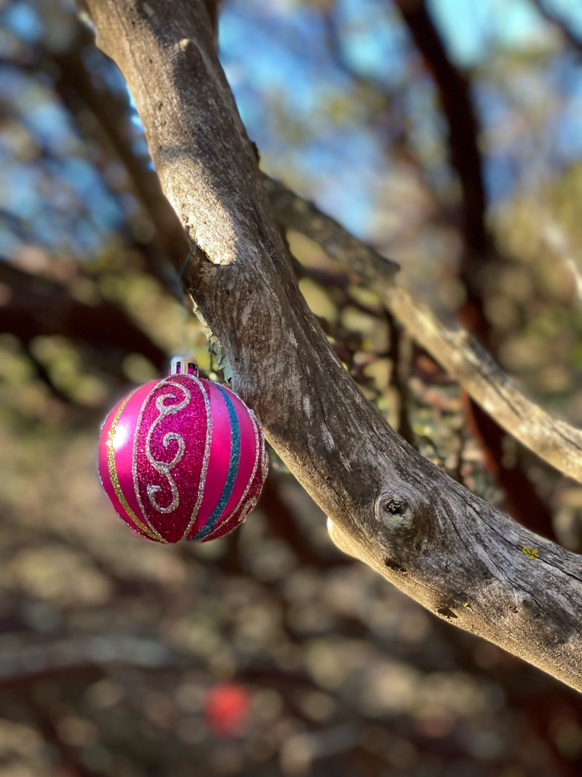 Harry A Barbier Memorial Park - duoveo