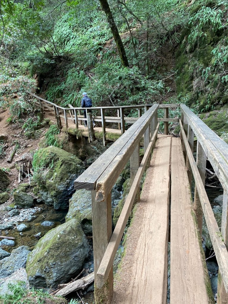 Cataract Falls trail luxurious nature and its bridge
