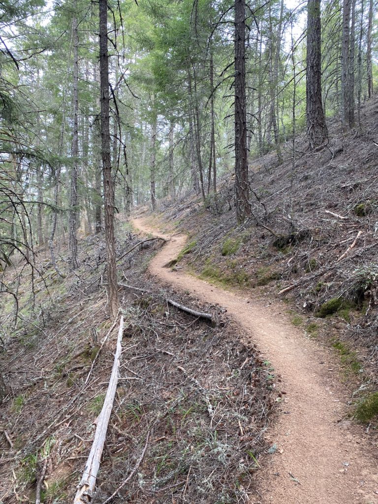 Cataract falls in California path through nature