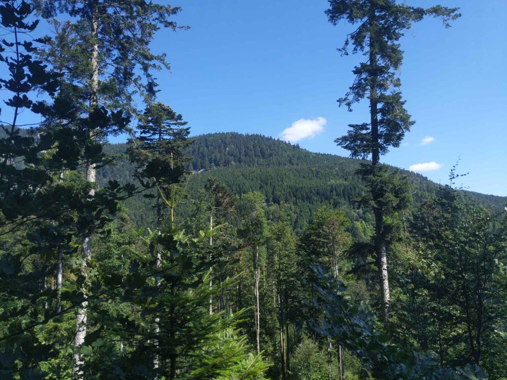 hiking in france and its green mountains