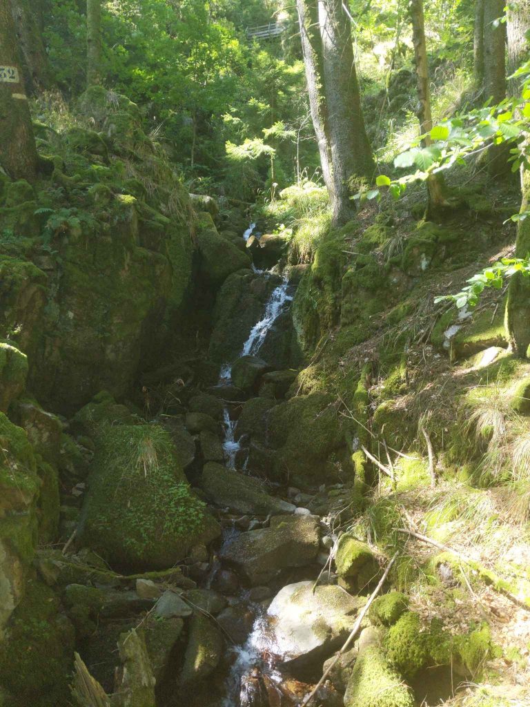 Hiking in France and its beautiful waterfalls with green vegetation