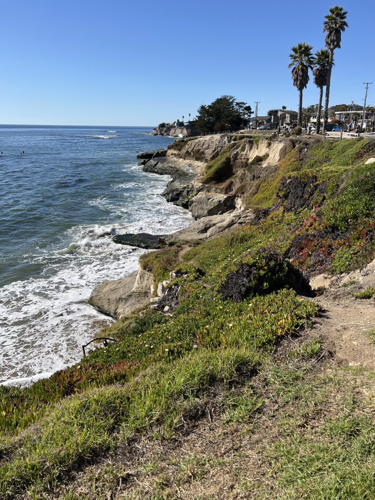 Capitola & Santa Cruz beaches: beautiful vegetations