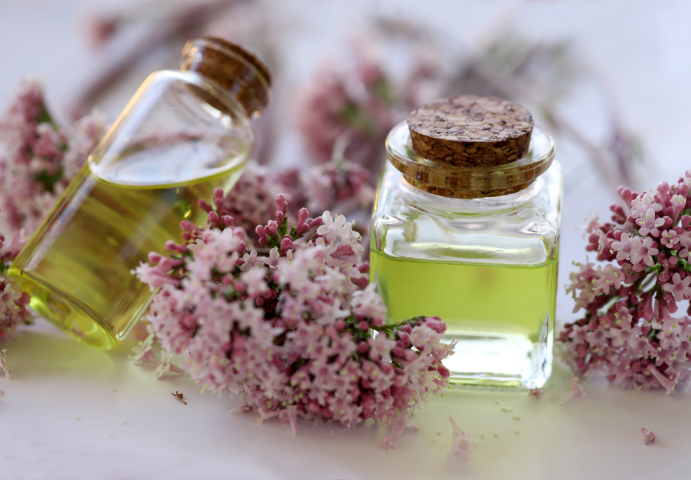 pink valerian flowers and valerian oil, a natural sleep aid