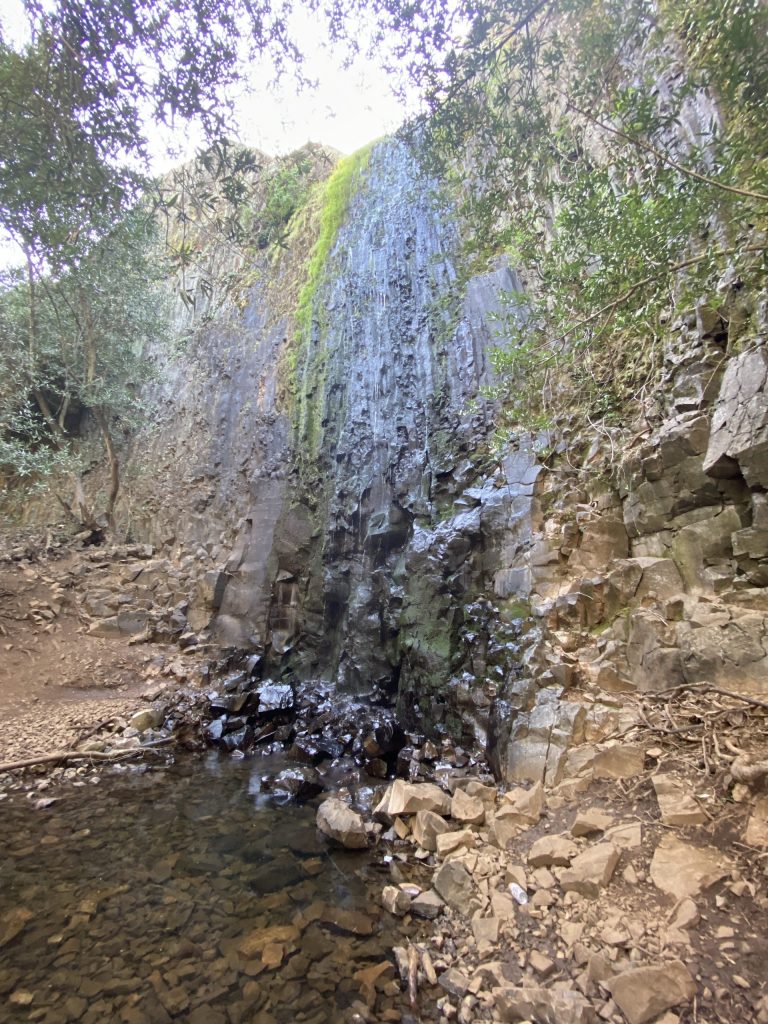 North Mountain Table Ecological Reserve spectacular cascades at ravine falls