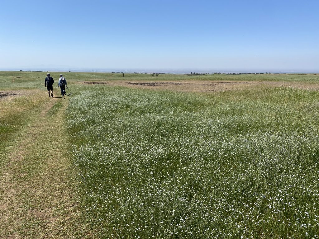 Hiking North Mountain Table Ecological Reserve