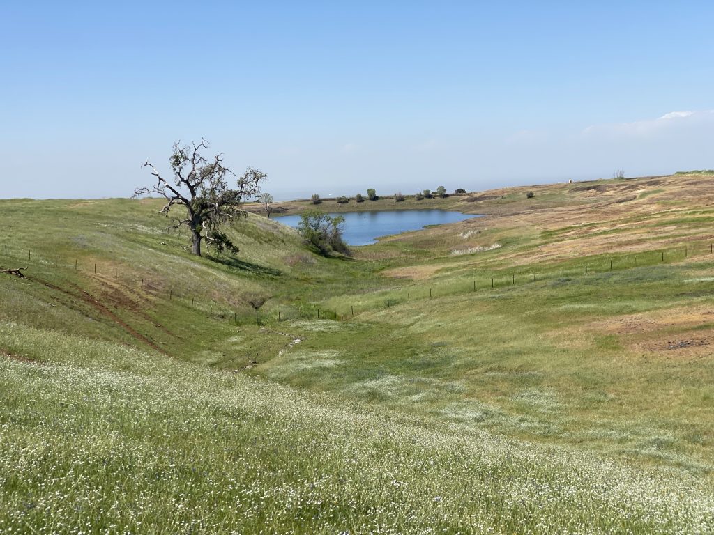 North Mountain Table Ecological Reserve nature