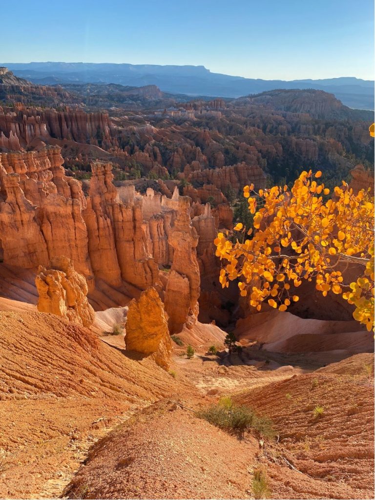 Navajo and Peekaboo loops view during fall