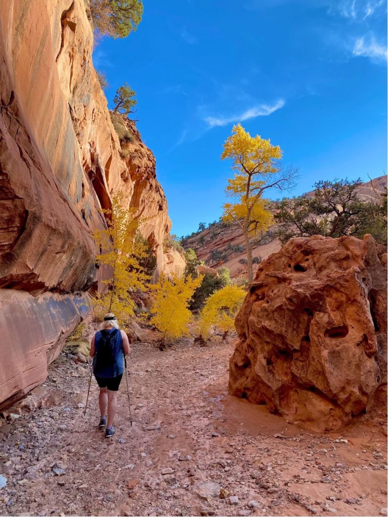 Explore.hike.teach hiking beautiful Utah national parks during fall
