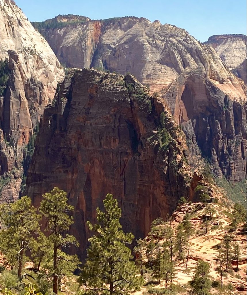 Angel's Landing view