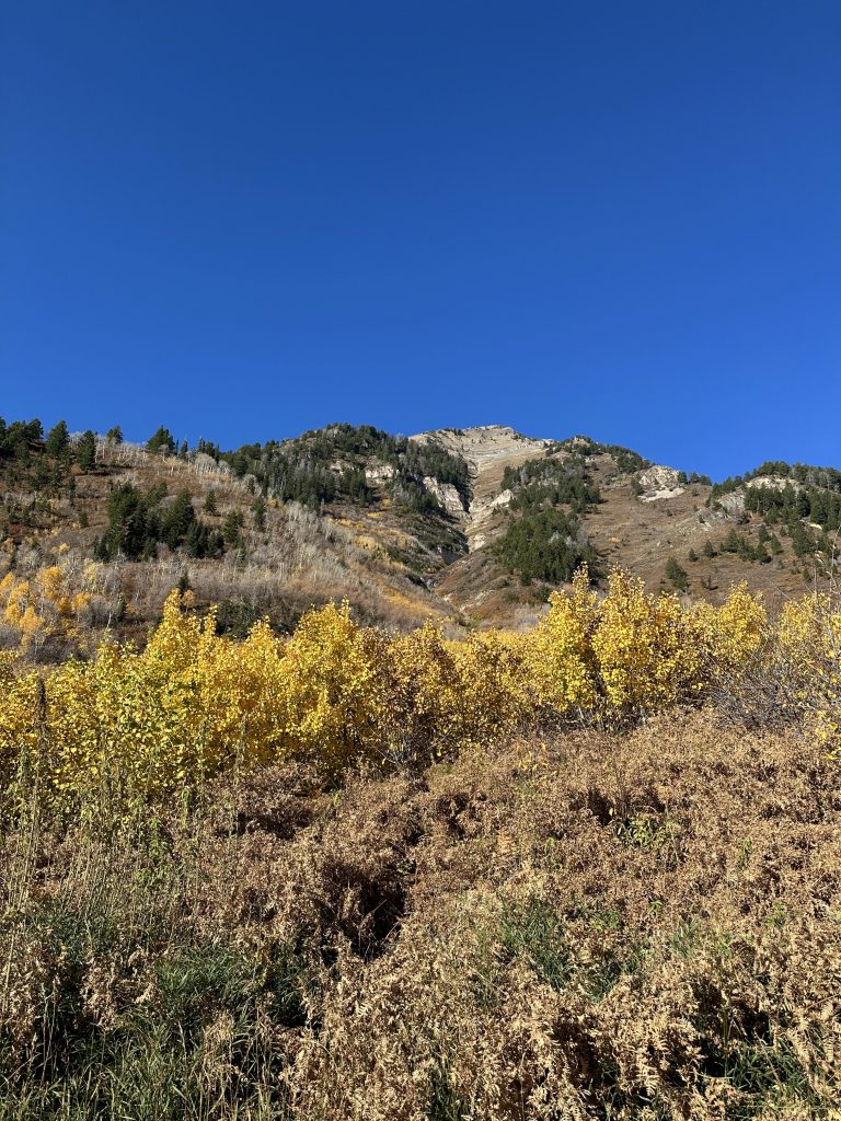 amazing views Stewarts falls trailhead