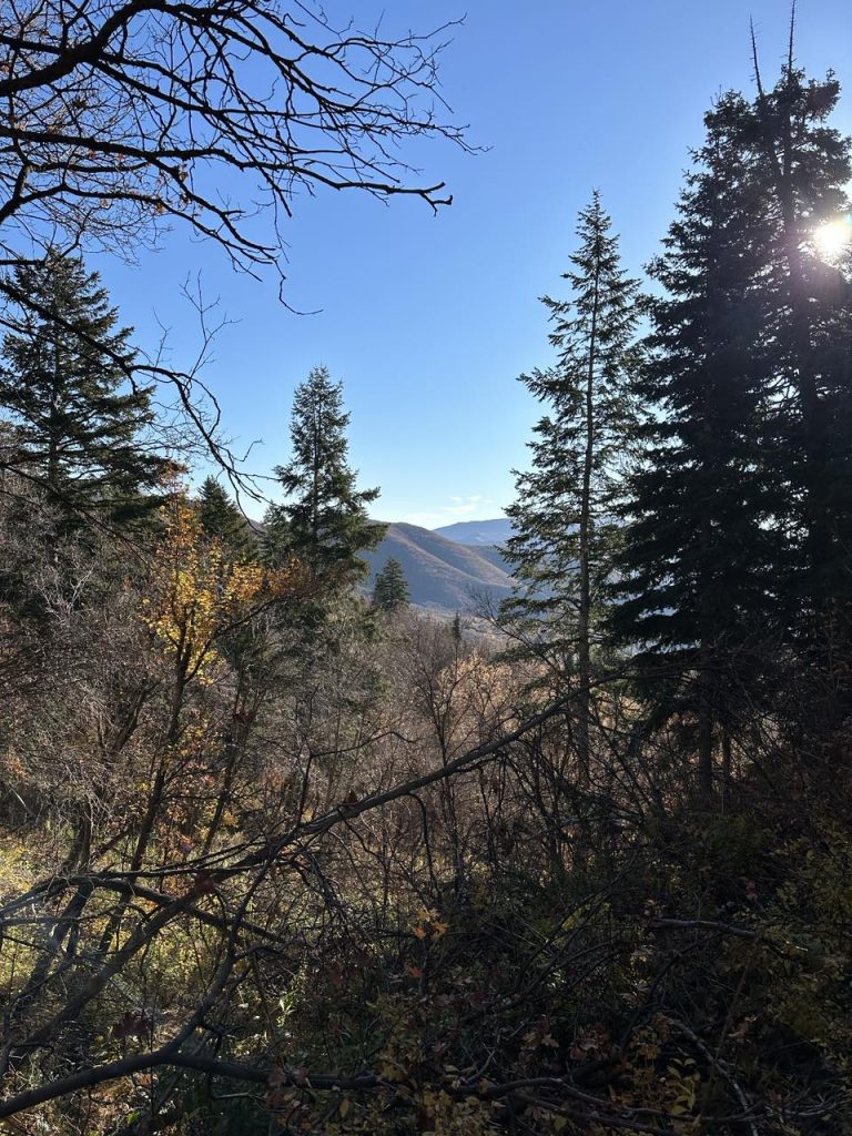 Stewart falls trailhead nature