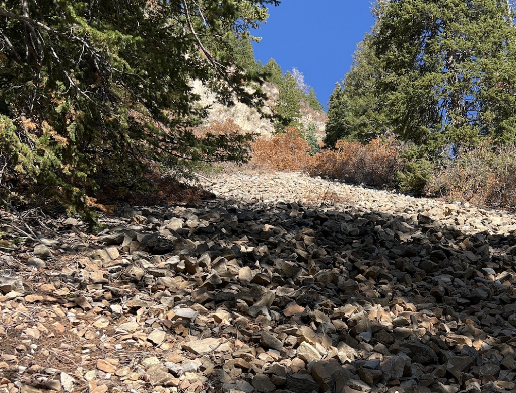 Stewart's falls trailhead rocks