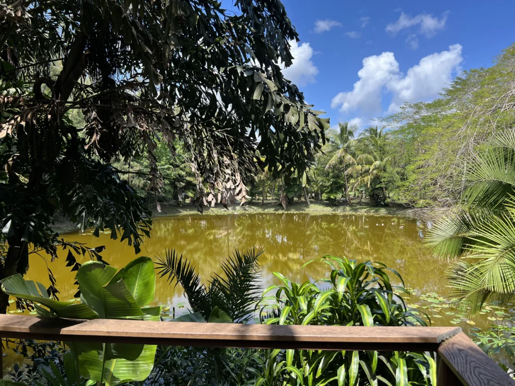 Hippocrates wellness center relaxing spot