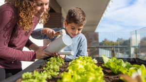 two people watering plants