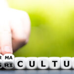the word "permaculture" written with dice