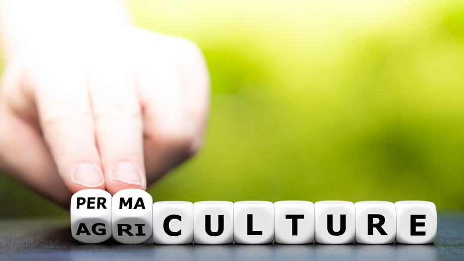 the word "permaculture" written with dice