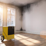 Dehumidifier in a room with mold