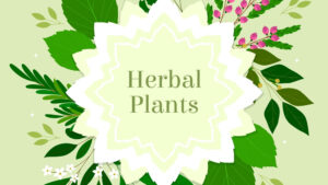 Hand drawn herbs round frame background