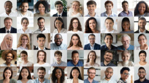réseau professionnel solide