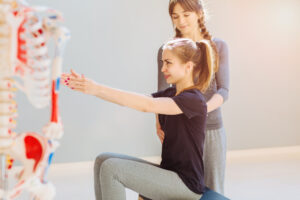 anatomie posture bassin