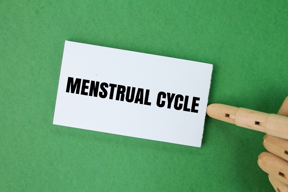 Les 4 phases du cycle menstruel