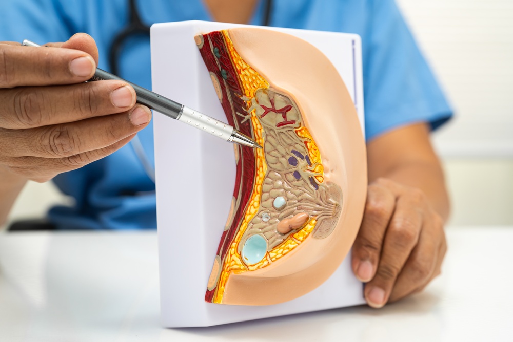 Seins Anatomie Santé