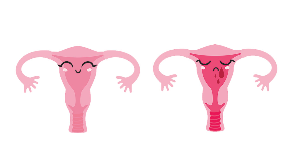 cycle émotionnel féminin